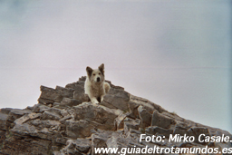 070107_zeus.jpg