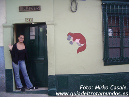 100207_platypusbogota.jpg
