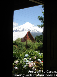 040307_pucon2.jpg