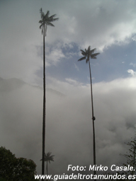 060307_salento.jpg