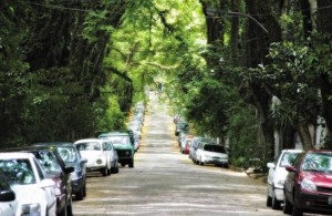 La calle más bonita del mundo está en BRASIL - Rua Gonçalo de Carvalho - rua-goncalo-de-carvalho1-300x195 La calle más bonita del mundo está en BRASIL - Rua Gonçalo de Carvalho - rua-goncalo-de-carvalho1-300x195