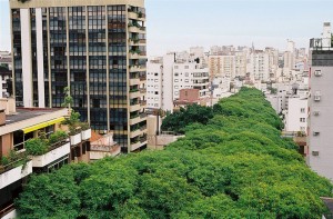 La calle más bonita del mundo está en BRASIL - Rua Gonçalo de Carvalho - tumblr_lzti06jPaY1r59suqo1_12801-300x197 La calle más bonita del mundo está en BRASIL - Rua Gonçalo de Carvalho - tumblr_lzti06jPaY1r59suqo1_12801-300x197