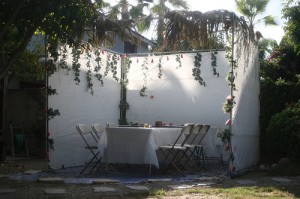 Ocho días bajo el cielo - sukkah2-300x199