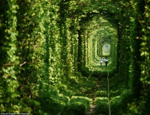 Paseando por el túnel del amor - el-tunel-del-amor-1-300x230