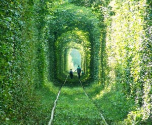 Paseando por el túnel del amor - el-tunel-del-amor-8-300x246