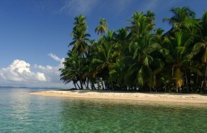 La Playa de las Estrellas - bocas-de-drago-2-300x193
