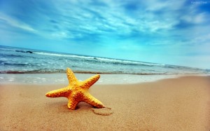 La Playa de las Estrellas - playa-estrellas-de-mar-1-300x187