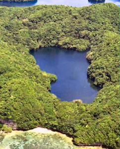 Lago de las medusas doradas - 051409_jellyfish_lake_aerial_nps_crop340-242x300