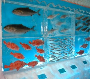 El acuario de hielo de Kori No Suizokukan - Kori-No-Suizokukan-2-300x264
