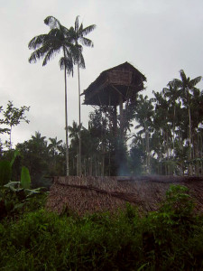 La tribu perdida de los Korowai - Korowai_Treehouse_3-225x300