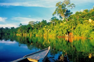 Parque Nacional del Manu (Perú) - Parque-nacional-del-manu-300x200