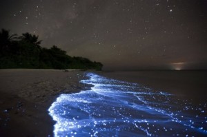Vaadhoo, la asombrosa isla de orillas estelares - Isla-de-Vaado-300x199