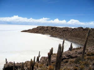 Salar de Uyuni, el espejo del cielo - Isla_de_Pescado_Bolivia_Salar_de_Uyuni_2-300x224