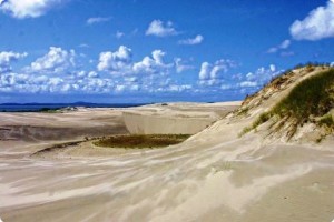 Slowinski, el parque natural de la biodiversidad - Dunas-300x200