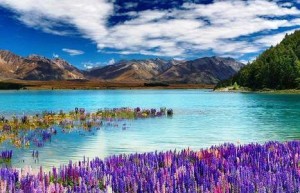 Lago Tekapo, naturaleza austral - LagoTekapoNuevaZelanda-300x193