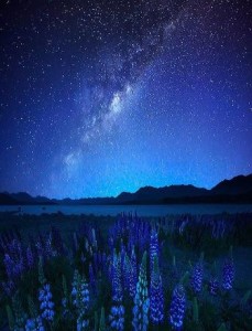Lago Tekapo, naturaleza austral - blog2_-229x300