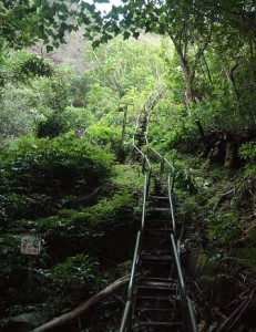 Las Haiku Stairs (Hawái) - haiku-stairs-2-231x300