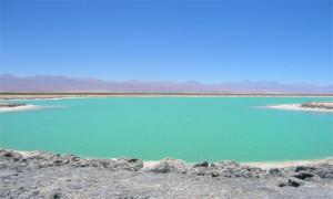 Laguna Cejar, el Mar Muerto de Atacama - Laguna-Cejar-300x180