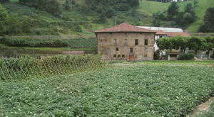 De la huerta al plato. Ruta de restaurantes con huerta propia. - Bedua-300x165