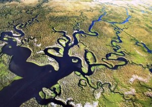 Everglades, el mar de pastos. - Everglades-formas-300x212