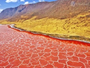El lago Natrón: naturaleza petrificada - lake-natron-300x225 El lago Natrón: naturaleza petrificada - lake-natron-300x225