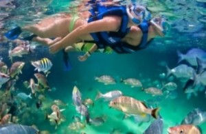 Xel-Há, turismo sostenible en la Riviera Maya - Xel-ha-300x196 Xel-Há, turismo sostenible en la Riviera Maya - Xel-ha-300x196