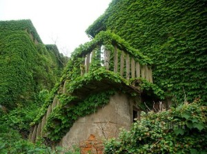 El pueblo verde de Zhoushan (China). - Naturaleza-y-arquitectura-300x224 El pueblo verde de Zhoushan (China). - Naturaleza-y-arquitectura-300x224