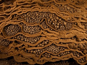 La gigantesca caverna de Hang Son Doong. - Perlas-de-la-cueva-300x223