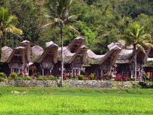 Sulawesi, el hogar de los Toraja - Tongkonag-300x225 Sulawesi, el hogar de los Toraja - Tongkonag-300x225