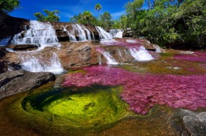 Caño Cristales (Colombia) - Caño-Cristales-2-300x198
