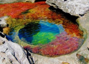 Caño Cristales (Colombia) - Ojo-de-río-300x218 Caño Cristales (Colombia) - Ojo-de-río-300x218