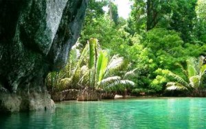 Parque Nacional del río subterráneo de Puerto Princesa - Panawan-300x188