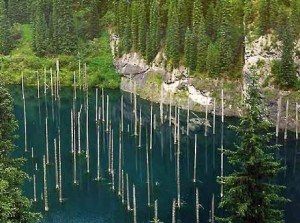 El bosque del lago - Lago-Traful-300x223