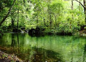 El cielo en la tierra - reserva-de-la-biosfera-el-cielo-p1-300x217