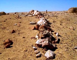 El valle de las ballenas - Wadi-Al-Hitan-Whale-Valley-Egypt-300x233