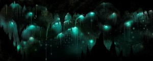 Cuevas Waitomo - glowworm-cave-vaughan-flanagan1-300x120