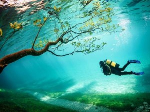 Grüner See (Austria) - scuba-diver-tragoss-austria_79797_990x742-300x225