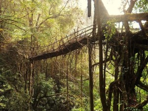 Cherrapunji: el lugar más lluvioso del mundo. - Sin-título-300x226