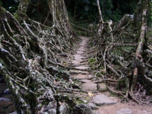 Cherrapunji: el lugar más lluvioso del mundo. - r2-300x225