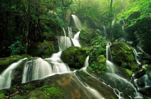 Cherrapunji: el lugar más lluvioso del mundo. - water-fall-1-300x197