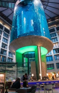 Aquadom, el ascensor-acuario de Berlín - 1439474759_287101_1439481711_album_normal-192x300