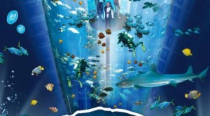 Aquadom, el ascensor-acuario de Berlín - AquaDomfahrenheit5-300x165