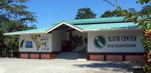 Sloth Sanctuary y los perezosos - aviarios-del-caribe-parque-nacional-costa-rica5-300x145