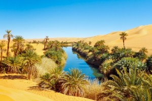 El mar de arena de Ubari (Libia) - der-see-umm-al-ma-in-der-sahara-liegt-im-oasengebiet-ubari-im-suedwesten-von-lybien-und-bietet-deutlich-bessere-lebensbedingungen-300x200