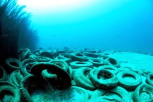 Arrecife Osborne: ecología basura - osborn_reef_2-300x200