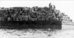 Arrecife Osborne: ecología basura - osborne-tire-reef-13-300x154