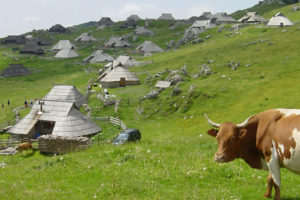 Velika Planina - 5-300x200 Velika Planina - 5-300x200