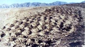 La extraña banda de agujeros de Nazca - extensa-banda-de-miles-de-agujeros-inexplicables-en-Perú-300x167 La extraña banda de agujeros de Nazca - extensa-banda-de-miles-de-agujeros-inexplicables-en-Perú-300x167