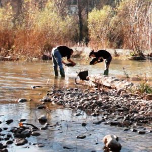 Búsqueda del oro en el río Segre - buscaor-300x300