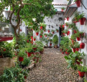10 patios cordobeses que no te puedes perder - Calle-Mariano-Amaya4-300x282 10 patios cordobeses que no te puedes perder - Calle-Mariano-Amaya4-300x282